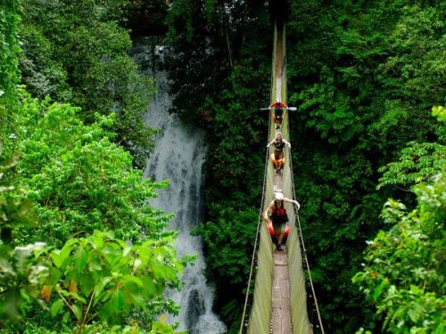 aroundtheworldin80seconds:  Suspension Bridge, Savegre River Photograph by Lucas J. Gilman/Aurora Ph