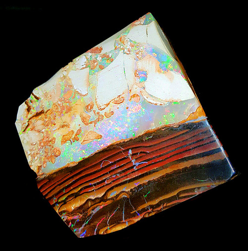 hematitehearts:Opal in IronstoneLocality:  Quilpie, Quilpie Shire, Queensland, Australia.