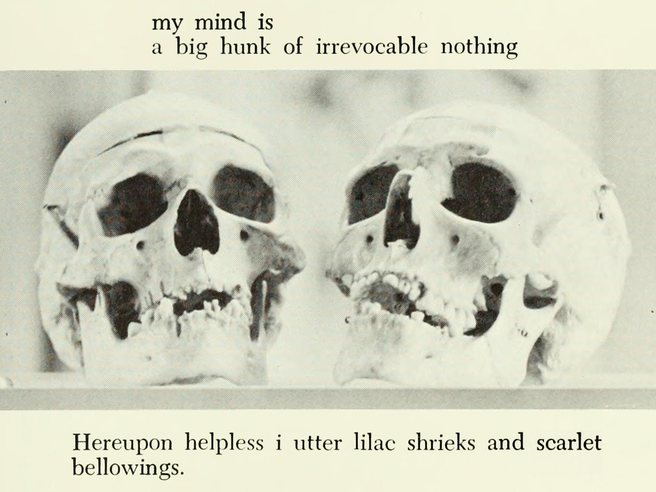 danskjavlarna: From Westminster’s 1968 yearbook. It’s been said that skulls are