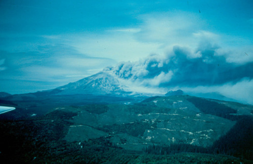 expressions-of-nature: Mount St. Helens, 1980 by Washington DNR