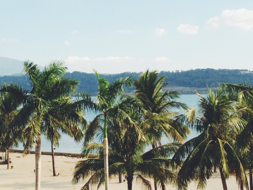 tropical–mist: jungle-sound:  my trip to subic :) please don’t change the source if this gets any no