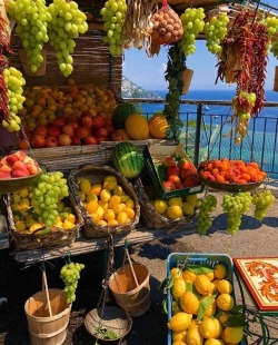 roseoilz:(instagram) @map_of_italy: amalfi coast 🍉🍋🍇 positano
