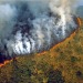 napkinpoetess:if you didn’t know, the amazon rainforest is on its 16th day of burning. my heart is broken, this is so saddening, and upsetting and nobody is doing anything about it. the amazon is the world’s largest tropical rainforest. covering