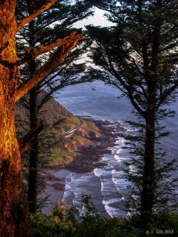 etherealvistas:  View From Cape Perpetua (USA) by A. F. Litt 