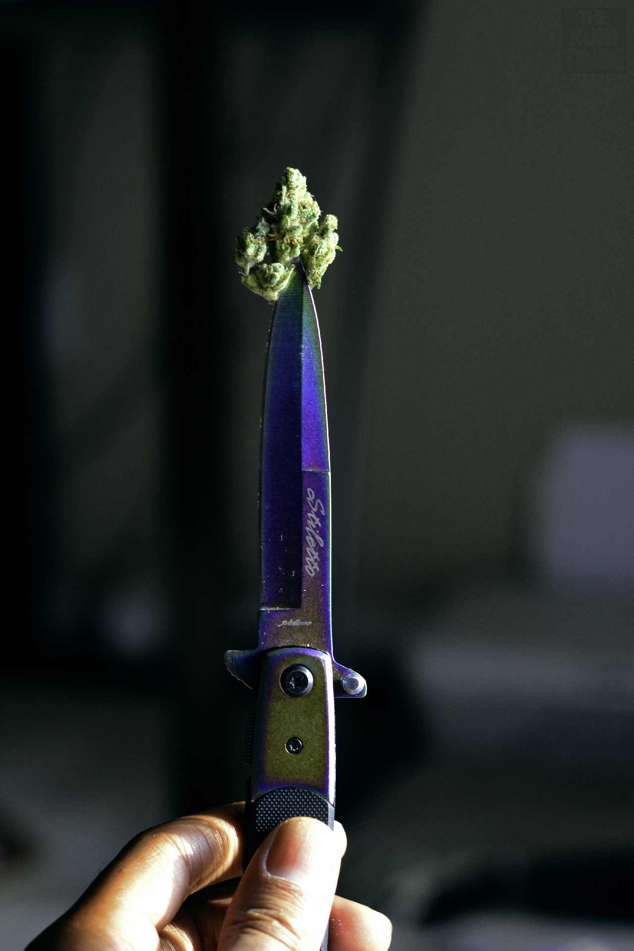 thekushtribe-deactivated2015062:  Photography by us.JOIN THE TRIBE 