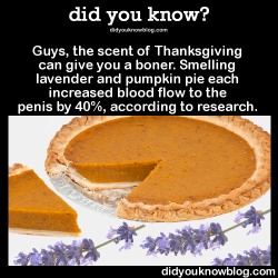 did-you-kno:  Guys, the scent of Thanksgiving can give you a boner. Smelling lavender and pumpkin pie each increased blood flow to the penis by 40%, according to research.  Source  Pls share and save someone from been embarrassed.