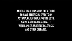 beautifulpeople-dopefashion-etc:  weedporndaily:  Science Supporting Cannabis’ Beneficial Effects on Cancer I know how difficult it can be to support your argument for the legalization of cannabis or medical marijuana. It’s easy to say that cannabis