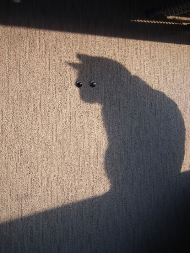 Through The Looking Glass