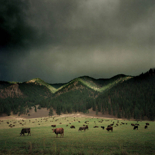 movementandwonder:  Michael Eastman - Landscapes 