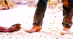 captainwarbuckle:  top 50 horror films | #42  ➥ Tremors (1990)  