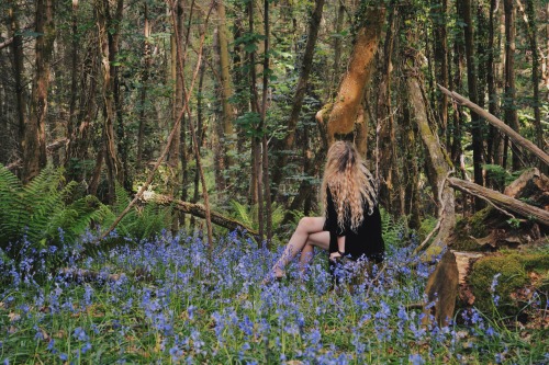 sunfl0wer-spirit:  Princess Cottongrass of the Forests, Antheia - The Nature Goddess  
