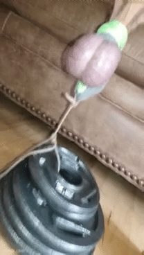 cumbeardbear: Rockhard4u2c lifting 30-lb    If you like really amateur… follow