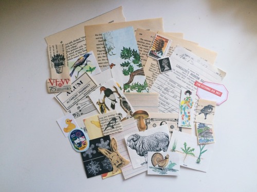 Nature &amp; Vintage Ephemera Kit at Feel Good Parcel on Etsy