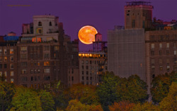  Gorgeous full moon rising tonight in NYC.   				Inga&rsquo;s Angle 				One shutterbug&rsquo;s take on the Big Apple 		  