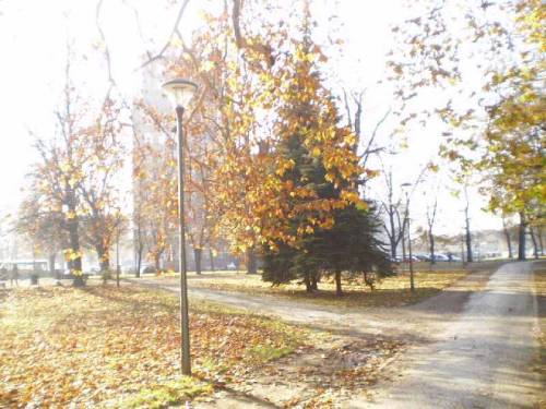 Autumn in J. Slowacki’s park - Wrocław, Poland.