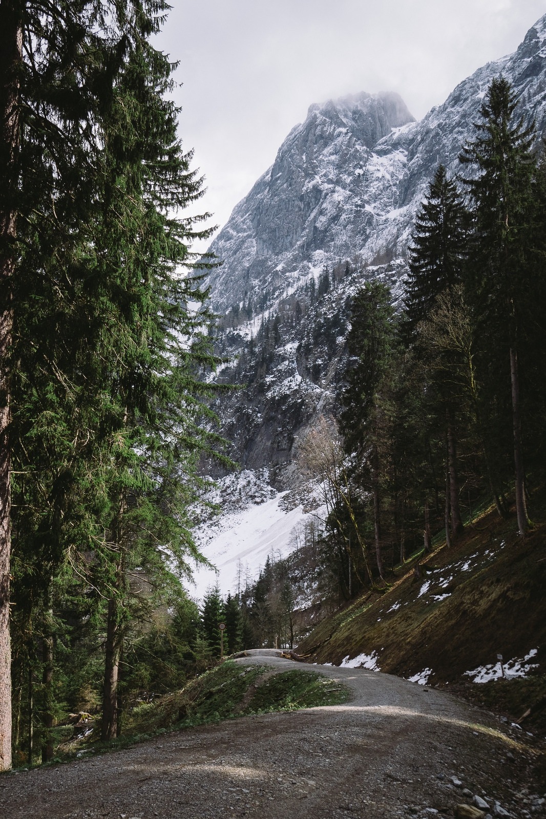 vhord:neutral:  mostly photos ✌︎  strictly nature