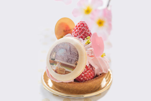 hay45h1: (via Cute cats and sakura cherry blossoms meet for a deliciously sweet collaboration |