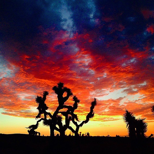 hauntedshacktheater:  Hi-Desert Sunset! This really happens. 
