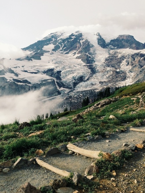 Porn Pics melodyandviolence:  Mt Rainier National Park,