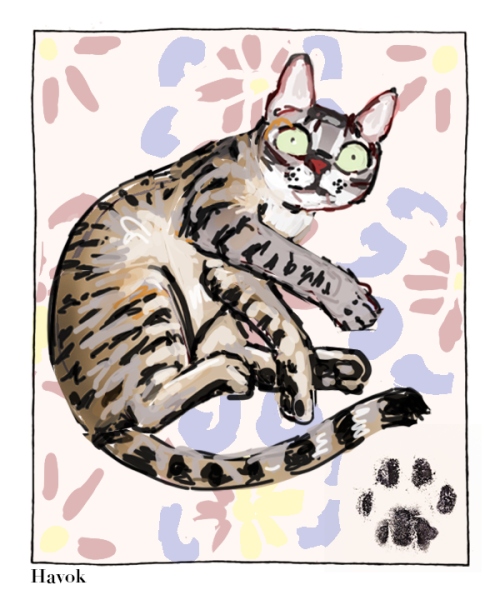 pangur-and-grim:left is a little sketch of a friend’s recently passed cat, that