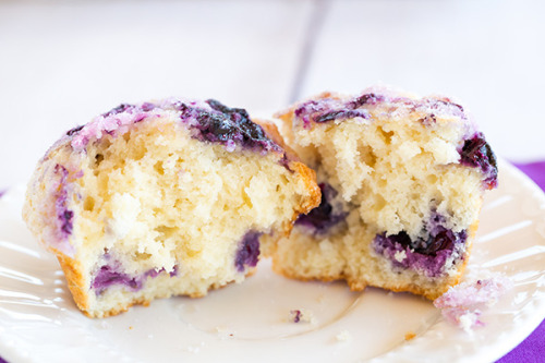 foodffs:  BERRYLICIOUS BLUEBERRY MUFFINSReally porn pictures