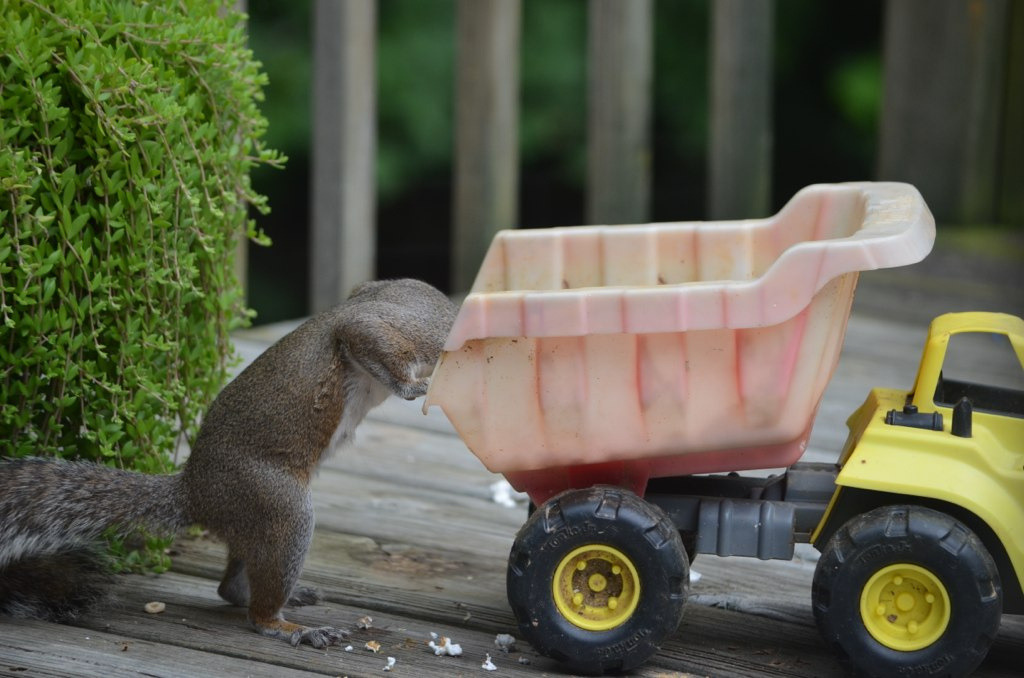 “Hmm… Let’s see what we have here…”
Photo by ©I'magrandma