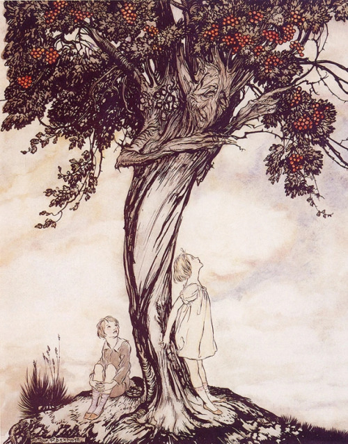 wrath-from-the-unknown: Arthur Rackham - The Hawthorn Tree (1922)