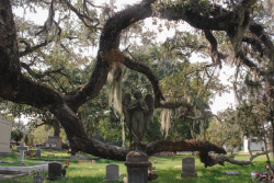 lussekatter:Biloxi, Mississippi