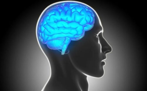 Too much activity in one of the brain’s key memory regions is bad for your memory and attention
Neurons in the brain interact by sending each other chemical messages, so-called neurotransmitters. Gamma-aminobutyric acid (GABA) is the most common...