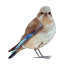 lightlysources