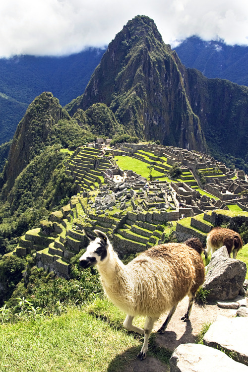 Porn photo breathtakingdestinations:   	Machu Picchu