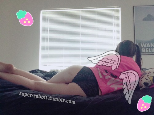 super-rabbit:  Good morning. 