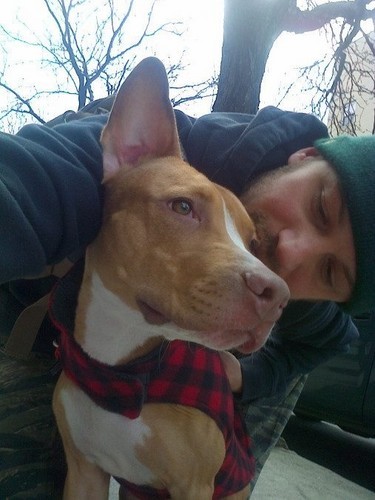 whitelivesdontmatter:hobbitkaiju:wtfzurtopic:Tom Hardy loves every dog. this is the best kind of pho