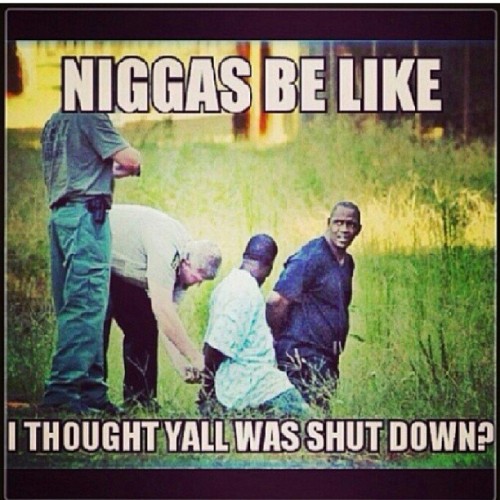 lilcoqui17:  #niggasbelike #governmentshutdown2013 #governmentshutdown