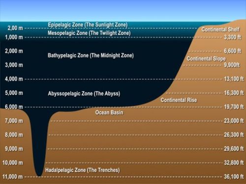 Marine Environment and Ocean ZonesThroughout modern marine science, attempts have been made to class