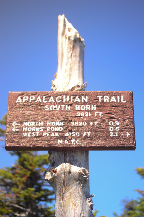 3,831 Ft. First peak of the day!Kelsey A St GermainNikon D3200