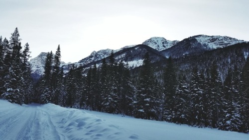 Hyalite Canyon, MT