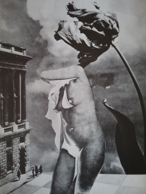 psychictigerthing:“The red fantastic roses of the storm” (Paul Eluard) (collage by Karel Teige)