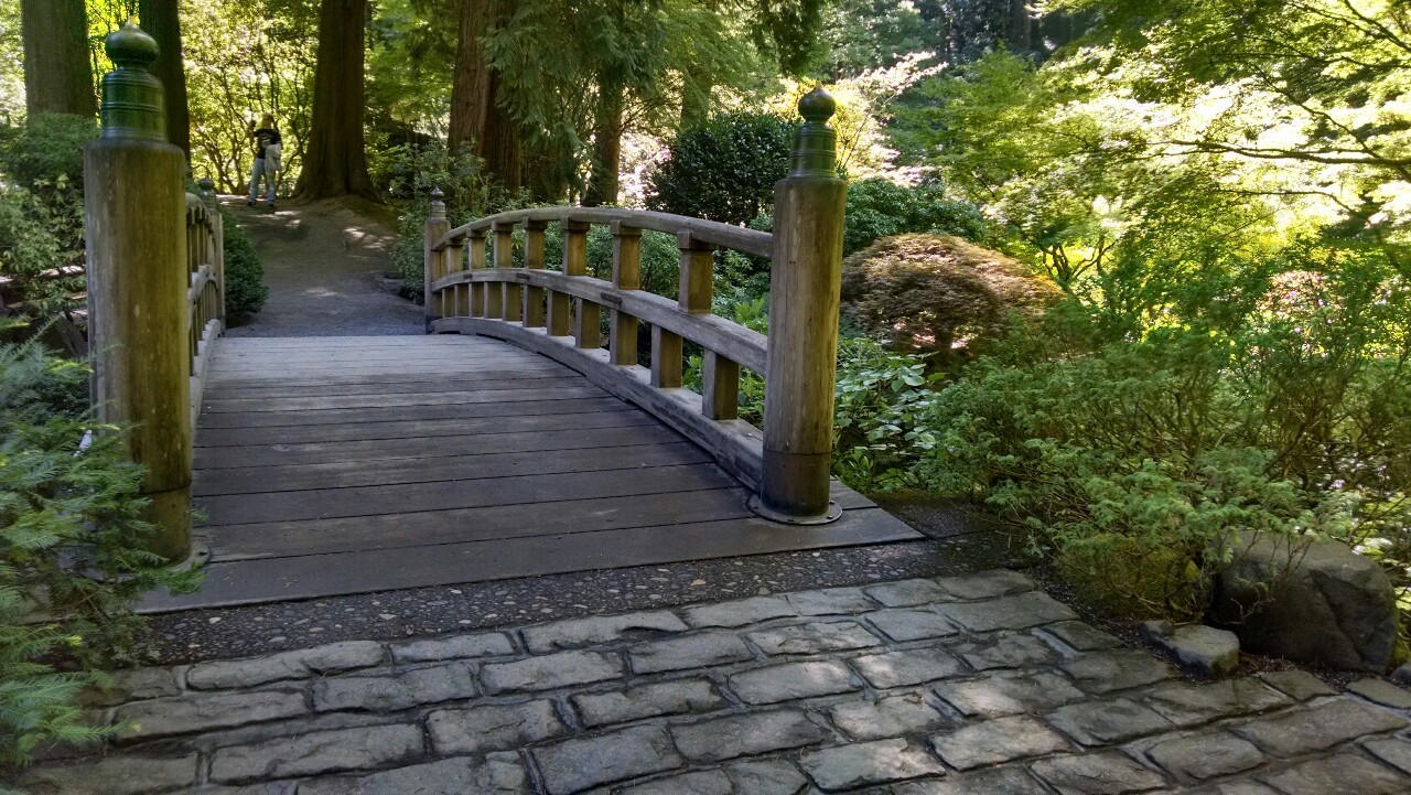 txepvi:  Some more of the Japanese gardens!