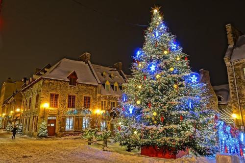 Porn legendary-scholar:  Christmas in Quebec City photos