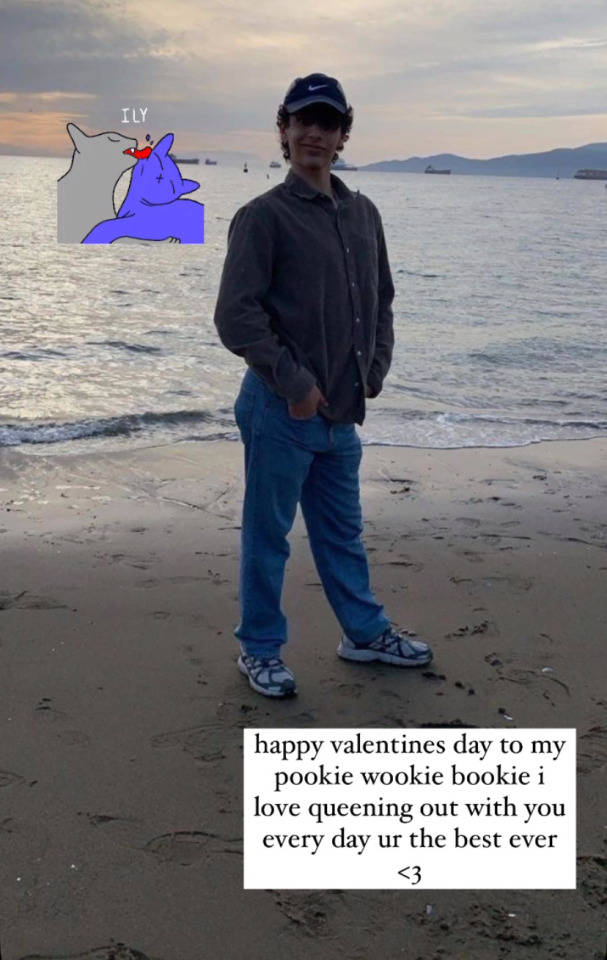 Tumblr media