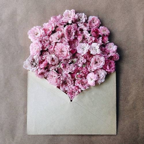 culturenlifestyle:  Flower Bouquets in Vintage EnvelopesKiev-based artist Anna Remarchuk showcases stunning images of her flower bouquets inserted in envelopes on her Instagram account. Remarchuk delicately styles lush flowers into vintage envelopes,