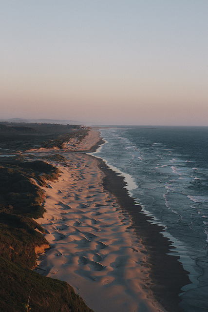 expressions-of-nature: Oregon Dunes by Gregor Hofbauer