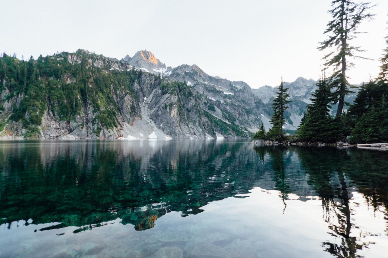 expressions-of-nature