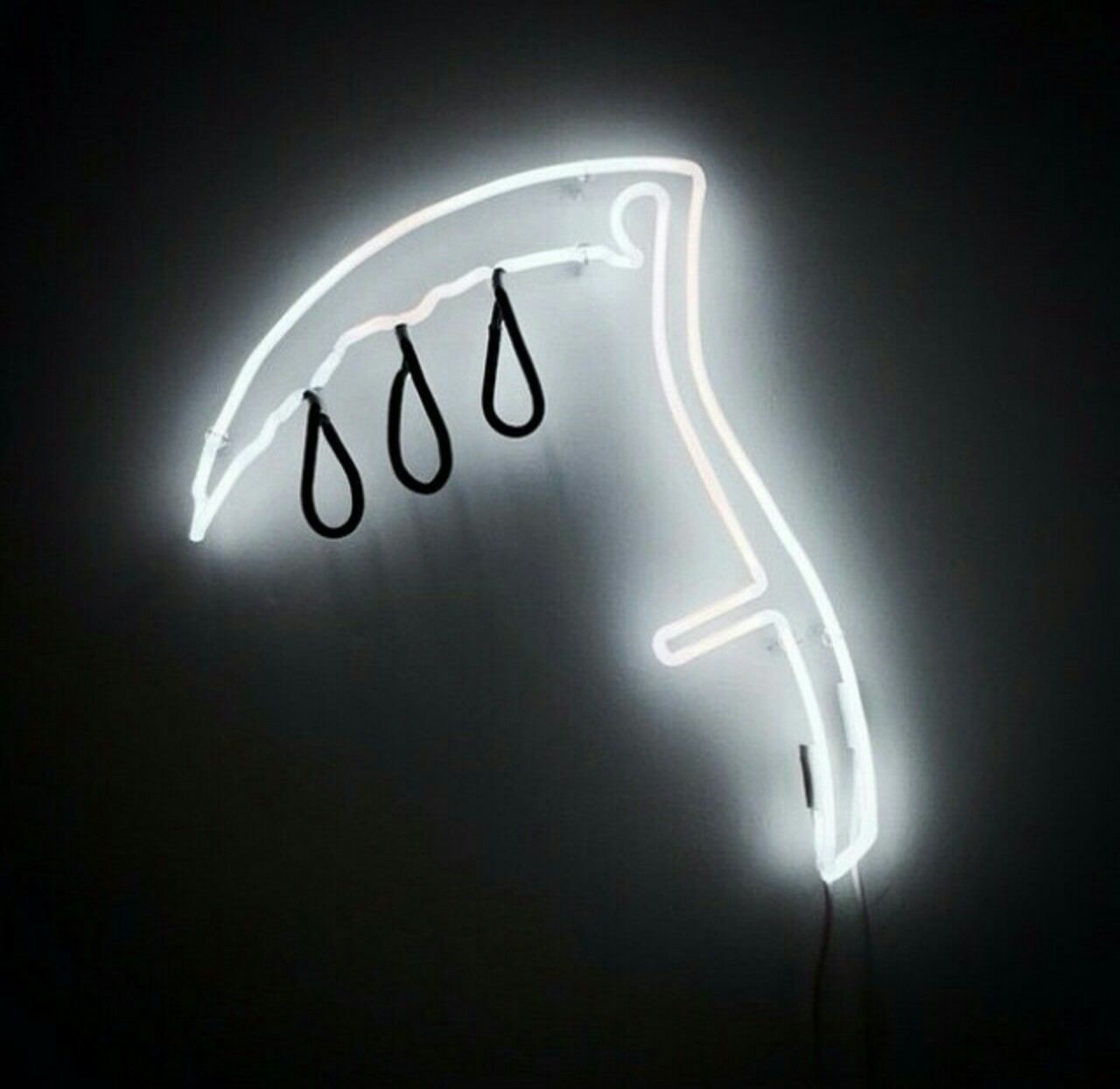 wssnights:  - 