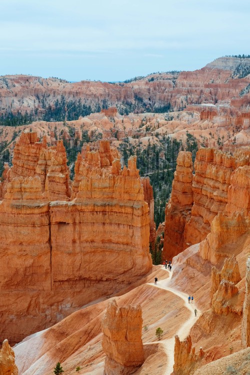 Lessons in scale // Bryce Canyon, April 2014Photography by Korey Klein