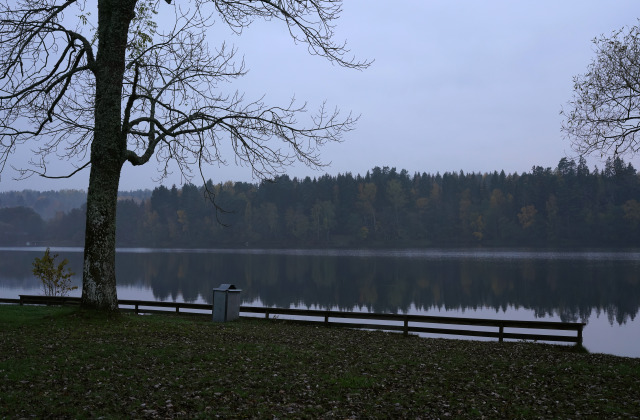 Gloomy autumn days are the best!