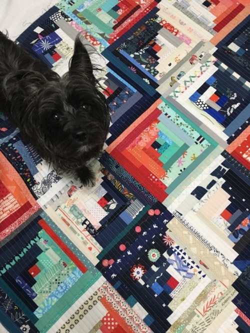 Log cabin quilting: This week, I finished quilting my log cabin scrap quilt. I decided on straight l