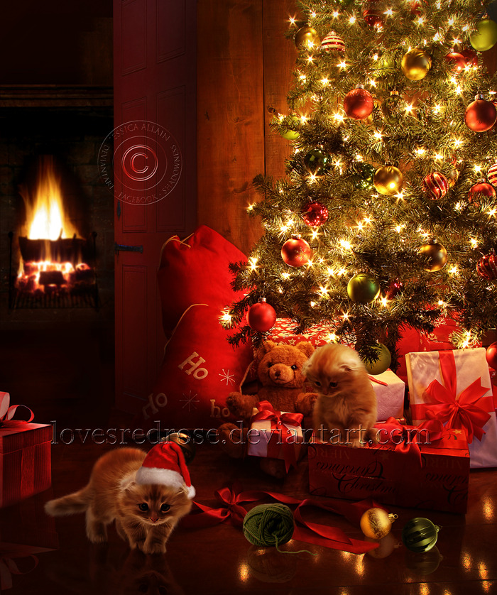 glamboyl:  Santa Kitty! Digital painting by Jessica Allain.  Merry Christmas Everyone