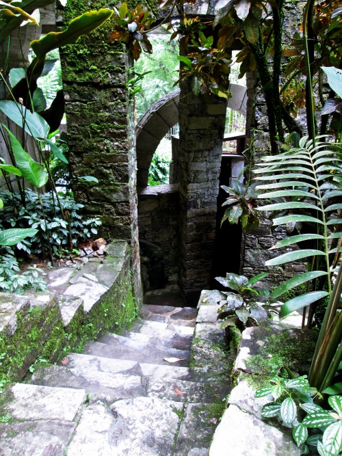 venus-garden:Las Pozas, Xilitlaflickr / vscogrid / instagram (please keep the caption)❀ tropical blo